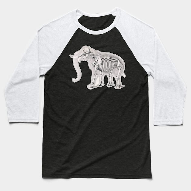 Elephant seen from inside, with skeleton and everything Baseball T-Shirt by Marccelus